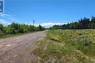 Commercial Land for Sale, 4034sm2de8 Rue Alfreda, Tracadie, NB