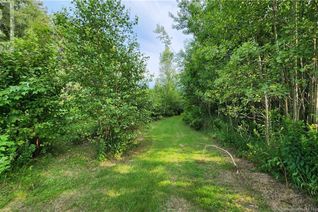 Property for Sale, 7.6 Acres Rue Pinet, Bertrand, NB