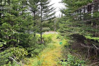 Commercial Land for Sale, 0 Salmonier Line, Holyrood, NL