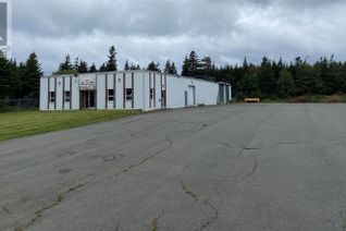 Business for Sale, 11 Wind Gap Road, Torbay, NL