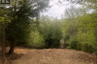 Land for Sale, 0 Drag Court, Haliburton, ON