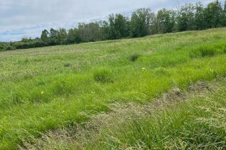 Vacant Residential Land for Sale, N/A Highway 48, Georgina, ON