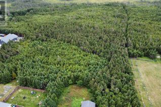 Land for Sale, 198 Bauline Line Extension, Portugal Cove - St Philips, NL