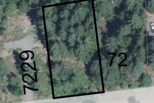 Commercial Land for Sale, 71 Birch Close, Anglemont, BC