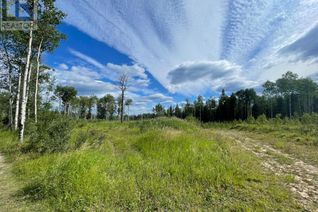 Land for Sale, 231 Mcardell Drive, Hinton, AB