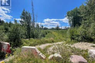 Land for Sale, 2999 Bradwell Street, Hinton, AB