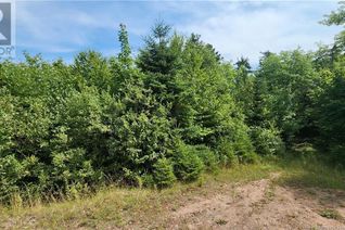 Property for Sale, 30 Acres Grand Carey Road, Six Roads, NB