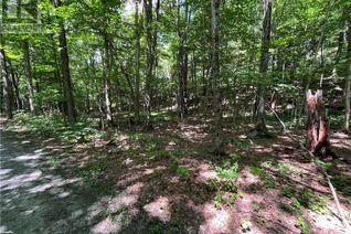 Commercial Land for Sale, Lot 134 Brennan Circle, Huntsville, ON