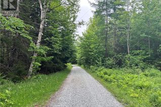 Commercial Land for Sale, - Mount Misery Road, Kingston, NB