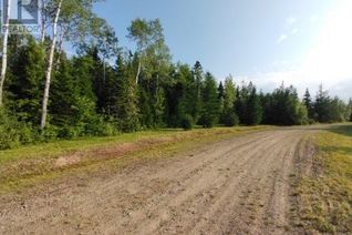 Commercial Land for Sale, Lot-15-3 Route 134, Sainte-Anne-De-Kent, NB