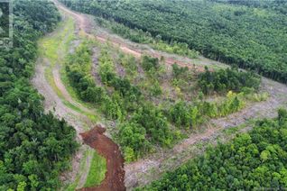 Commercial Land for Sale, Lot 19 Crabbe Mountain, Central Hainesville, NB