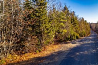 Commercial Land for Sale, Vacant Land Boyd Road, Clarence Ridge, NB