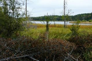 Vacant Residential Land for Sale, Lot 3 Wilgress Lake, Grand Forks, BC