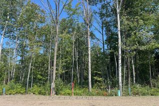 Vacant Residential Land for Sale, Lot 77 Mapleside Dr, Wasaga Beach, ON