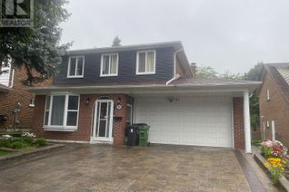 House for Rent, 31 Hoseyhill Crescent #Basemen, Toronto E07, ON