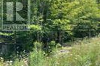 Commercial Land for Sale, 0 Milkrun Road, Marmora and Lake, ON