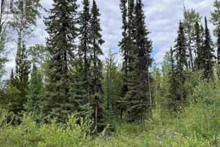 Commercial Land for Sale, Lot B Jardine Road, Cluculz Lake, BC