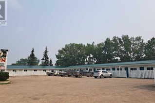 Non-Franchise Business for Sale, 4903 57 Avenue, Provost, AB