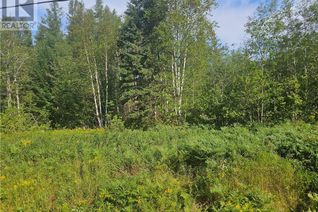 Commercial Land for Sale, Vacant Lot Route 17, Saint-Léonard-Parent, NB