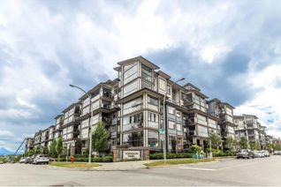 Condo Apartment for Sale, 8526 202b Street #615, Langley, BC