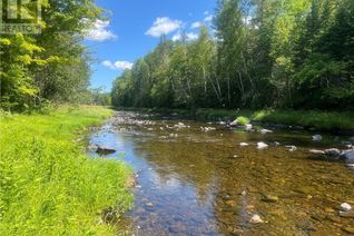 Property for Sale, - Middle River Road, Middle River, NB