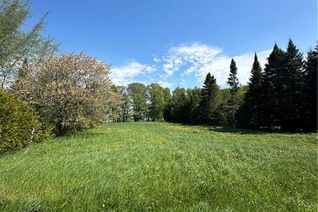 Commercial Land for Sale, 125 Graham's Hill Road, Georgian Bluffs, ON