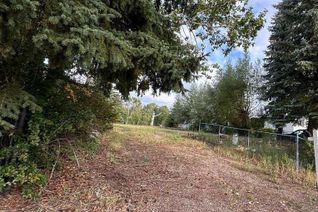 Land for Sale, 4925 51 Street, Mirror, AB