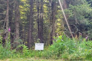 Commercial Land for Sale, Sve107 Old Hope Princeton Highway, Hope, BC