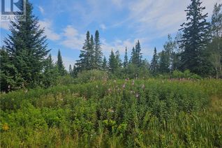 Land for Sale, Vacant Lot Route 17, Saint-Léonard, NB