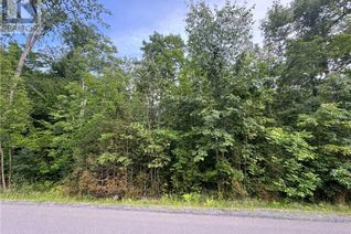 Commercial Land for Sale, Lot Beaverbrook Road, Martintown, ON