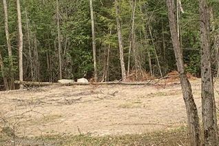 Commercial Land for Sale, 5 Mountain Basin Drive, McDougall, ON