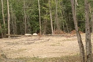 Commercial Land for Sale, 5 Mountain Basin Dr, McDougall, ON