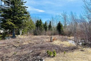 Land for Sale, 56 Pleasantview Road, Point Leamington, NL