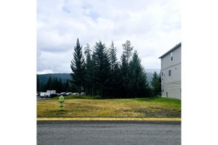 Vacant Residential Land for Sale, 12 Cariboo Drive, Elkford, BC