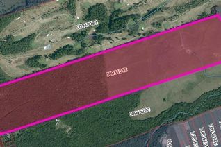 Land for Sale, 2532 Route 115, Irishtown, NB