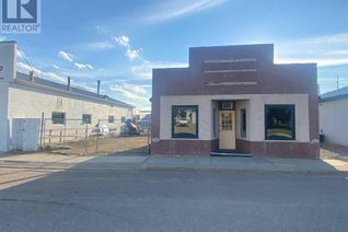 Non-Franchise Business for Sale, 5024 49 Street, Provost, AB