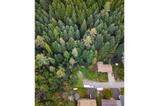 Vacant Residential Land for Sale, 2108 8th Avenue, Castlegar, BC