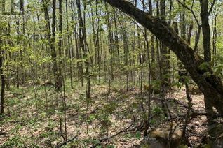 Land for Sale, 2376 South Horn Lake Road, Ryerson, ON