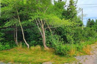 Commercial Land for Sale, 28 Duffs Road, Holyrood, NL