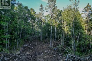 Land for Sale, N/A Island Road Unit# Lot 2, Whitefish, ON