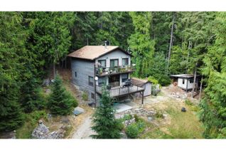 Property for Sale, 4895 Slocan River Road, Winlaw, BC