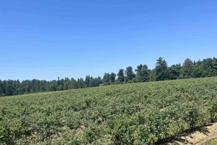 Farm for Sale, 4281 Bradner Road, Abbotsford, BC