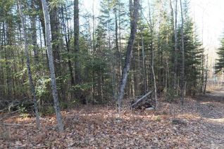 Land for Sale, Pt Lt13 Con 9 Highway 503, Highlands East, ON