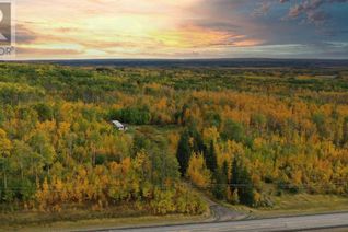 Commercial Land for Sale, 745015 Highway 733, Rural Grande Prairie No. 1, County of, AB