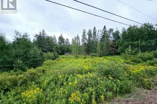 Property for Sale, Lot 24-10 East Mountain Road, East Mountain, NS