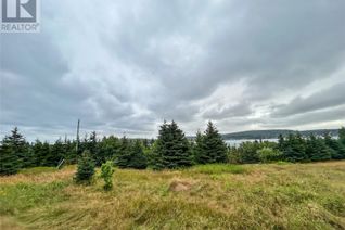 Commercial Land for Sale, 0 West Side Road, Green's Harbour, NL