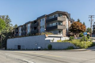 Condo for Sale, 2551 Willow Lane #319, Abbotsford, BC