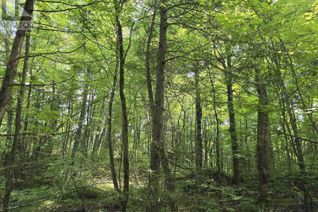 Land for Sale, . Conchie Road, Tweed, ON