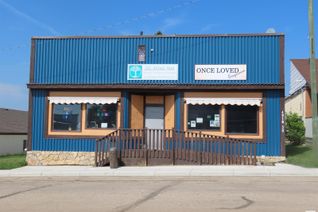 Commercial/Retail Property for Sale, 4916 50 St, Sangudo, AB