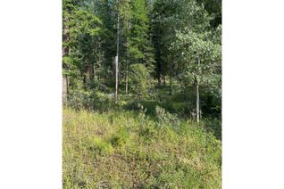 Property for Sale, Parcel A Highway 95a, Kimberley, BC